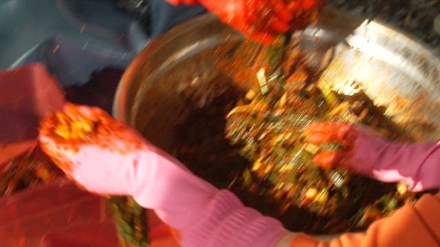 잘 양념된 파김치를 김치통에 옮겨담는 모습