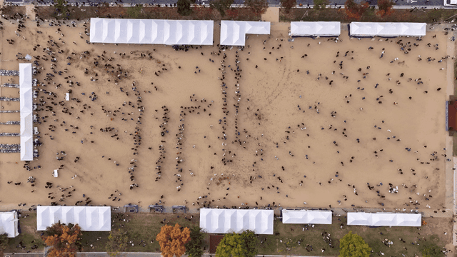 Large outdoor event with many people