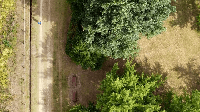 나무가 우거진 공원