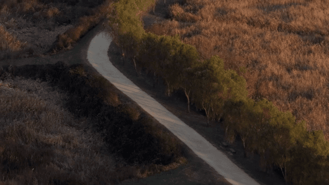 해질녘 숲 속의 구불구불한 길