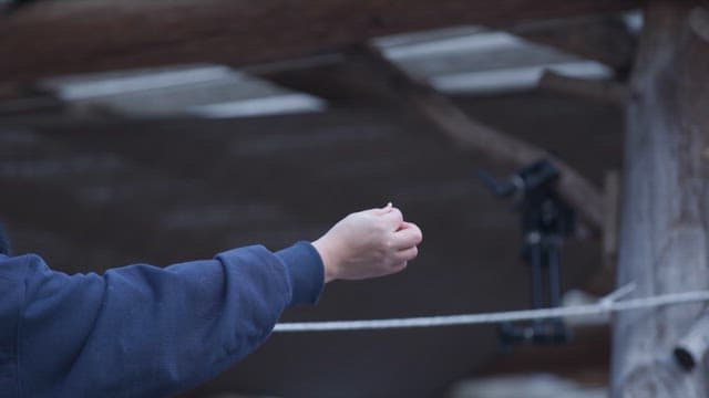 사람이 야외에서 작은 새에게 먹이를 주는 모습