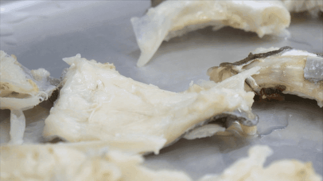 트레이 위에서 식고 있는 대구 조각들