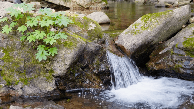 이끼 낀 바위를 흐르는 작은 폭포