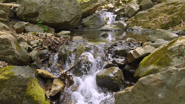 Flowing water over rocks in a stream