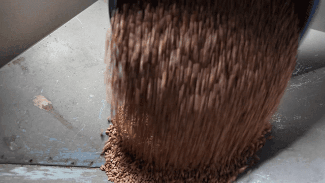 Sight of wheat pouring into metal container