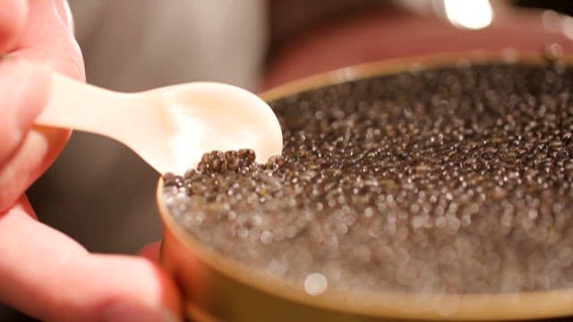 Preparing Caviar Dish in a Kitchen