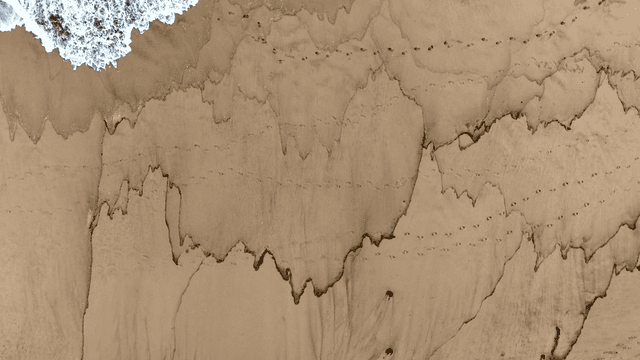 파도가 있는 모래 해변의 발자국