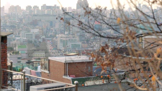 City skyline with autumn trees in foreground