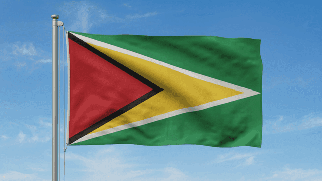 Flag of Cooperative Republic of Guyana fluttering under clear sky