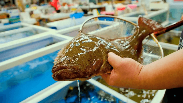 수조에서 물고기를 잡고 있는 사람