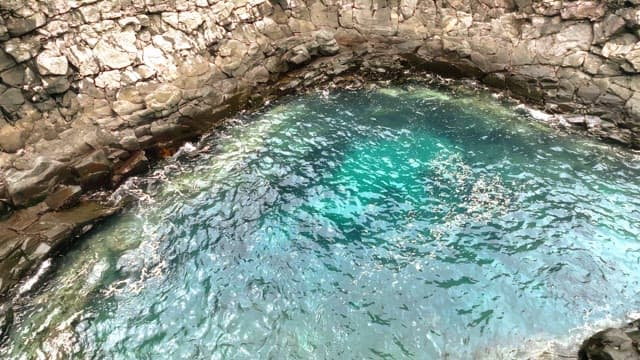 바위 해안과 조수 웅덩이