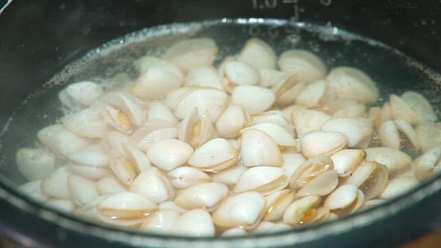 Clams boiling in a pot