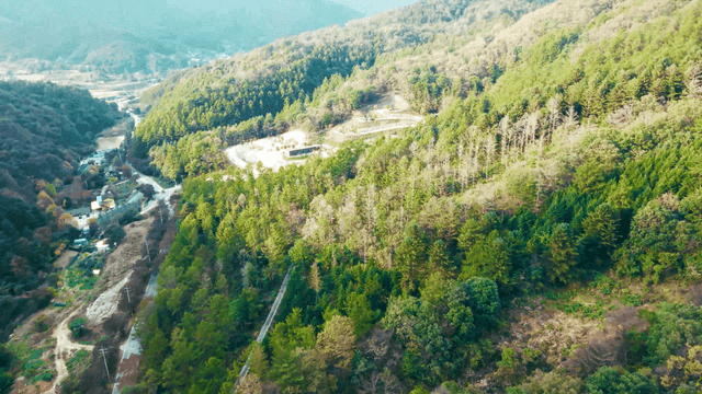 숲이 우거진 산악 지역의 경치