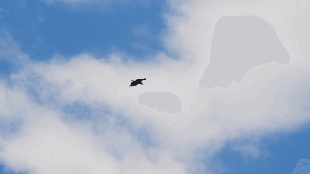 Hawk flying through cloudy sky