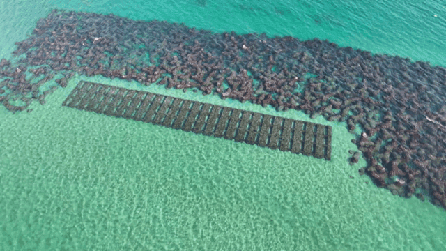 Coastal breakwater with clear sea