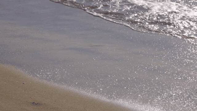 Waves gently lapping on a sandy beach