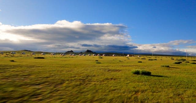 Vast grassland with yurts