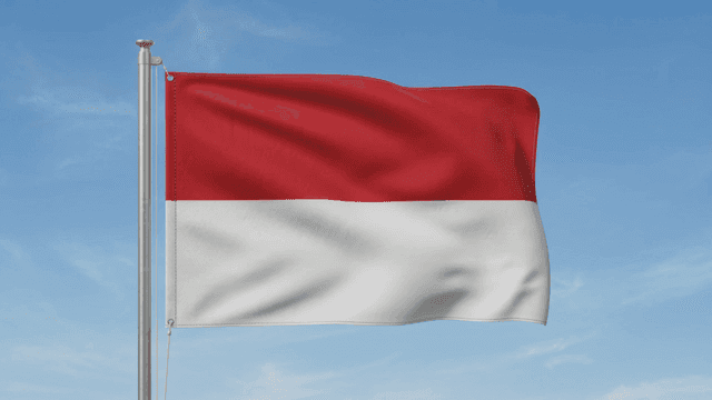 Monaco flag fluttering against clear sky