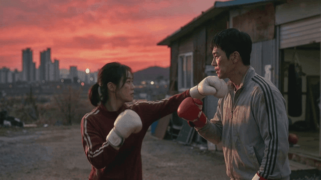 Two boxers training at sunset