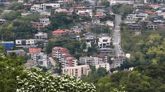 푸른 녹음이 우거진 언덕의 주택가