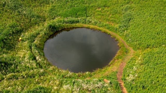 Small lake surrounded by lush greenery