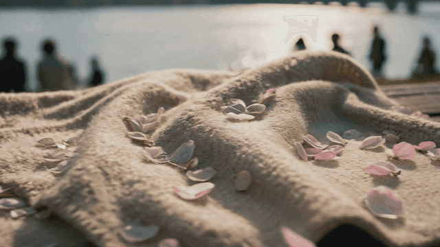 Cherry blossom petals on blanket by river