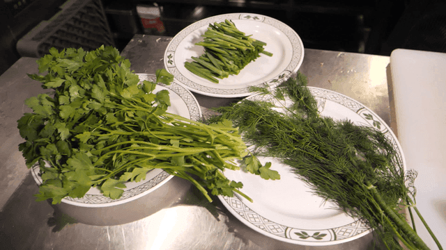 Fresh herbs and greens on plates in a kitchen