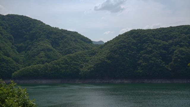 Serene Lakefront with Lush Greenery