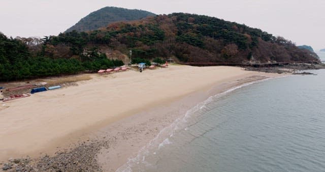 Secluded Beach with Forest and Mountains