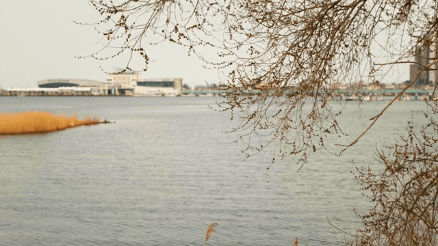 멀리 건물이 보이는 고요한 호수