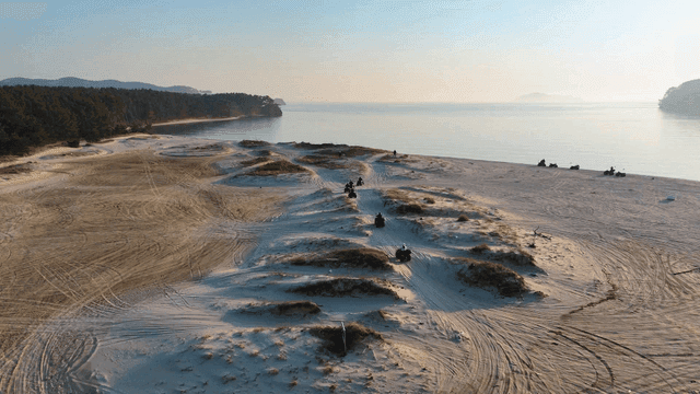 ATVs riding on sandy beach