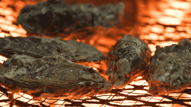 Oysters grilling over open flames