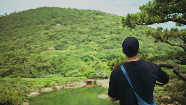 푸른 숲에서 감상하는 사람