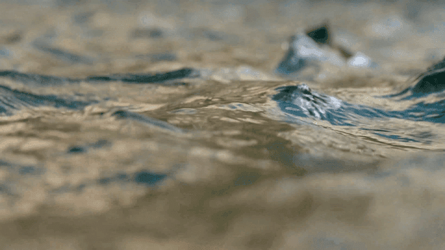 Close-up view of gentle water waves