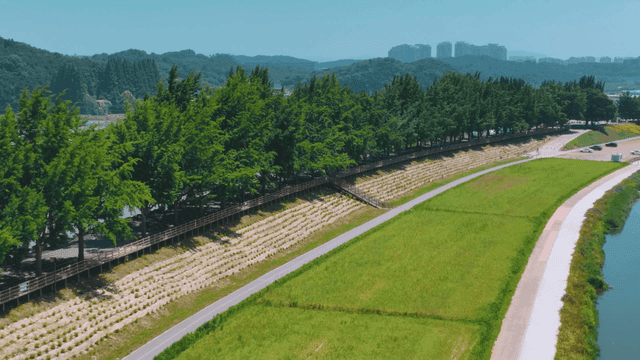 Riverside park landscape covered in lush greenery