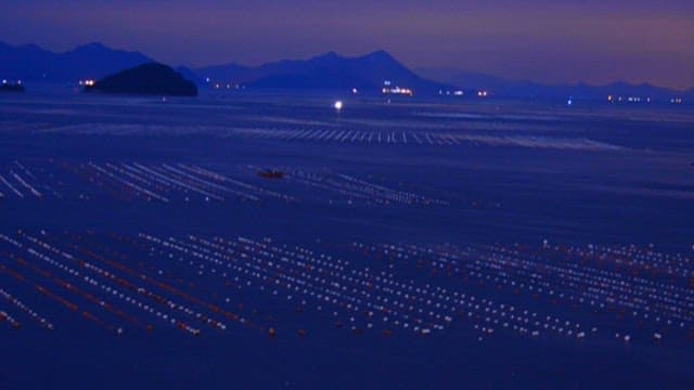 Sunset over the sea with a fish farm