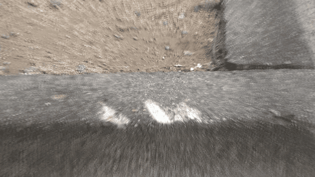 나무 뿌리와 인도 가장자리에 난 흠집