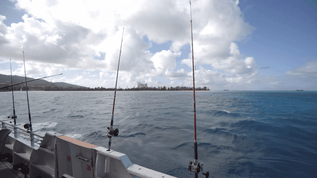 Fishing rods on a boat in the open sea