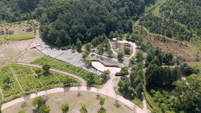 Aerial view of a lush green park