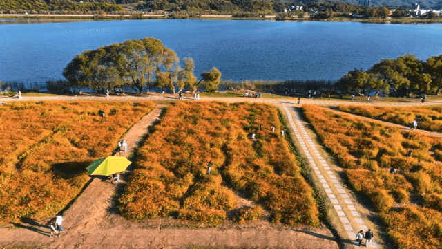 화려한 꽃밭이 있는 경치 좋은 공원