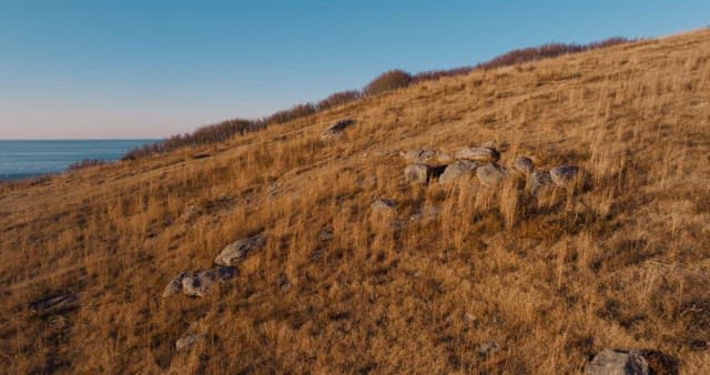 고요한 해안 풍경과 방목하는 사슴