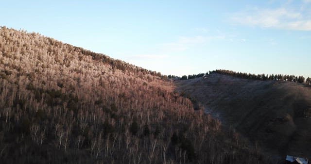 Serene forested mountain landscape