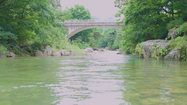 Serene river flowing under a bridge