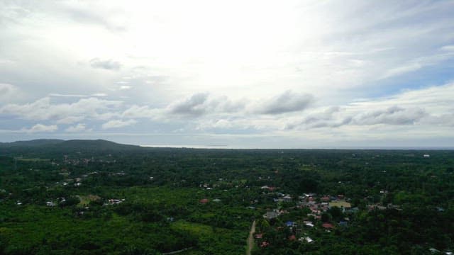 Green village with a distant mountain view