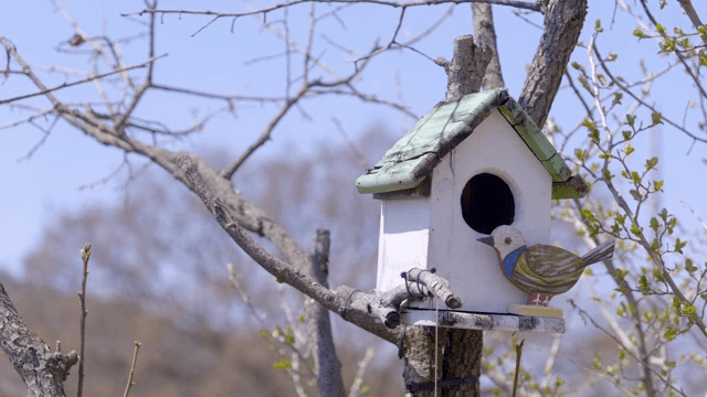 나뭇가지 위의 새집