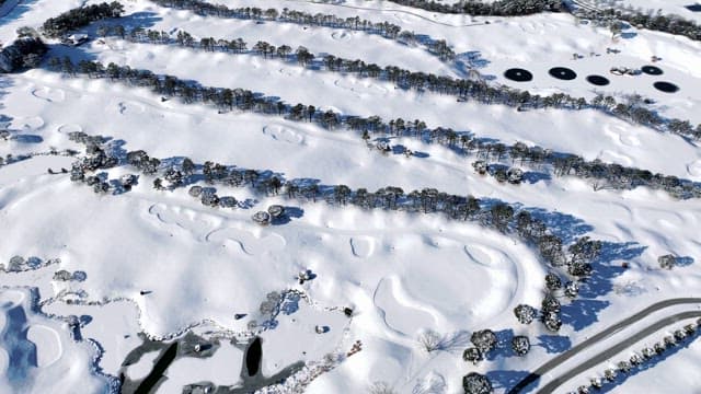 Snowy Landscape with Trees