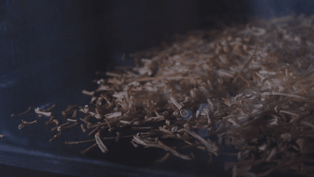 Enoki mushrooms baking in oven