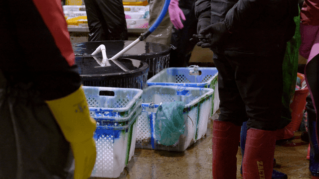 Workers handling seafood in a market