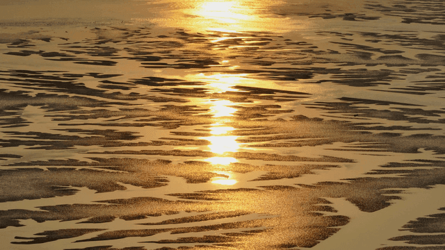 Golden sunset reflecting on tidal flats