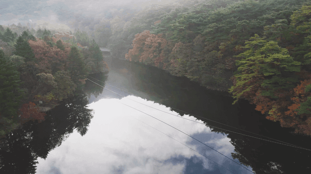 Serene river surrounded by autumn trees
